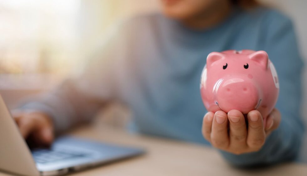 Ultimate Guide Profitable Laundry Business Marketing Plan