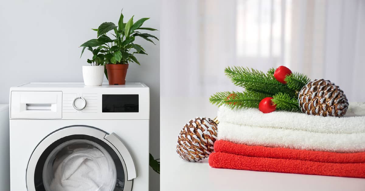 eco-friendly Laundry services