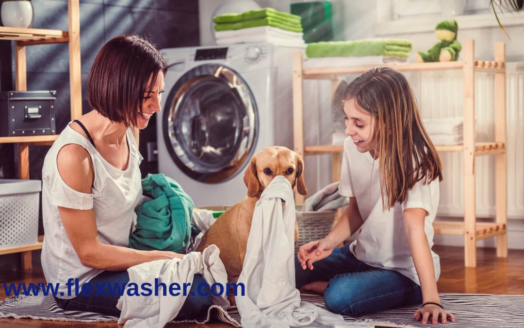Transform Laundry Days: Ultimate Family Scheduling Guide